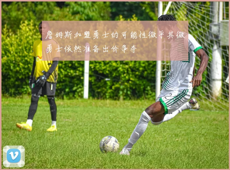 詹姆斯加盟勇士的可能性微乎其微勇士依然准备出价争夺