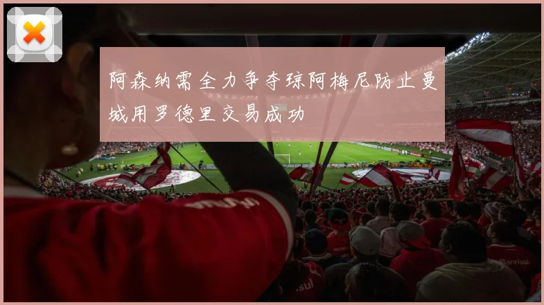 阿森纳需全力争夺琼阿梅尼防止曼城用罗德里交易成功