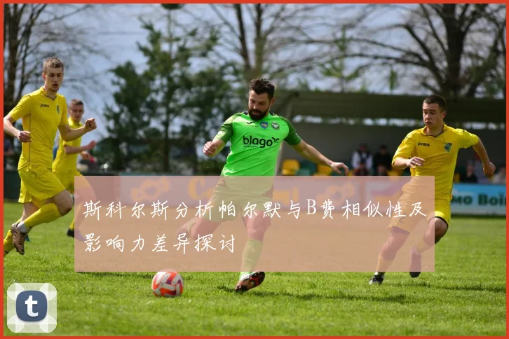 斯科尔斯分析帕尔默与B费相似性及影响力差异探讨